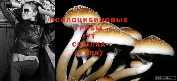 дурь Алексин
