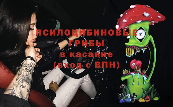 дурь Алексин