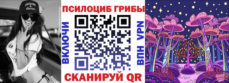 kraken вход  Навашино  Псилоцибиновые грибы Psilocybine cubensis 